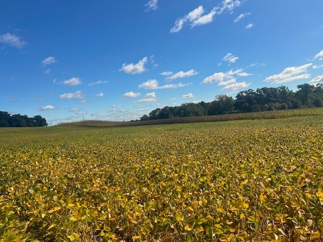 Land at TBD 12/27 Highway, Black River Falls, WI 54615 — photo 8