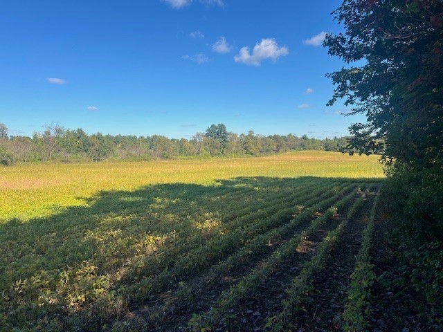 Land at TBD 12/27 Highway, Black River Falls, WI 54615 — photo 9