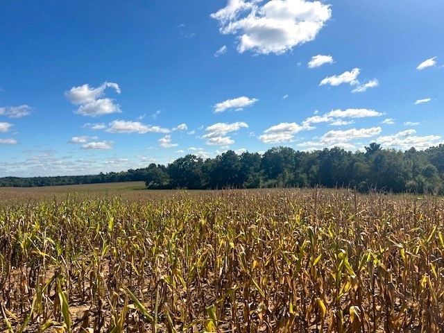 Land at TBD 12/27 Highway, Black River Falls, WI 54615 — photo 10