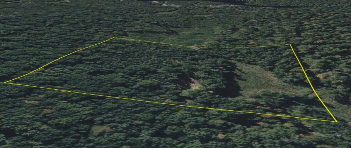 Land at TBD Barrett Trail, Trego, WI 54888 — photo 11