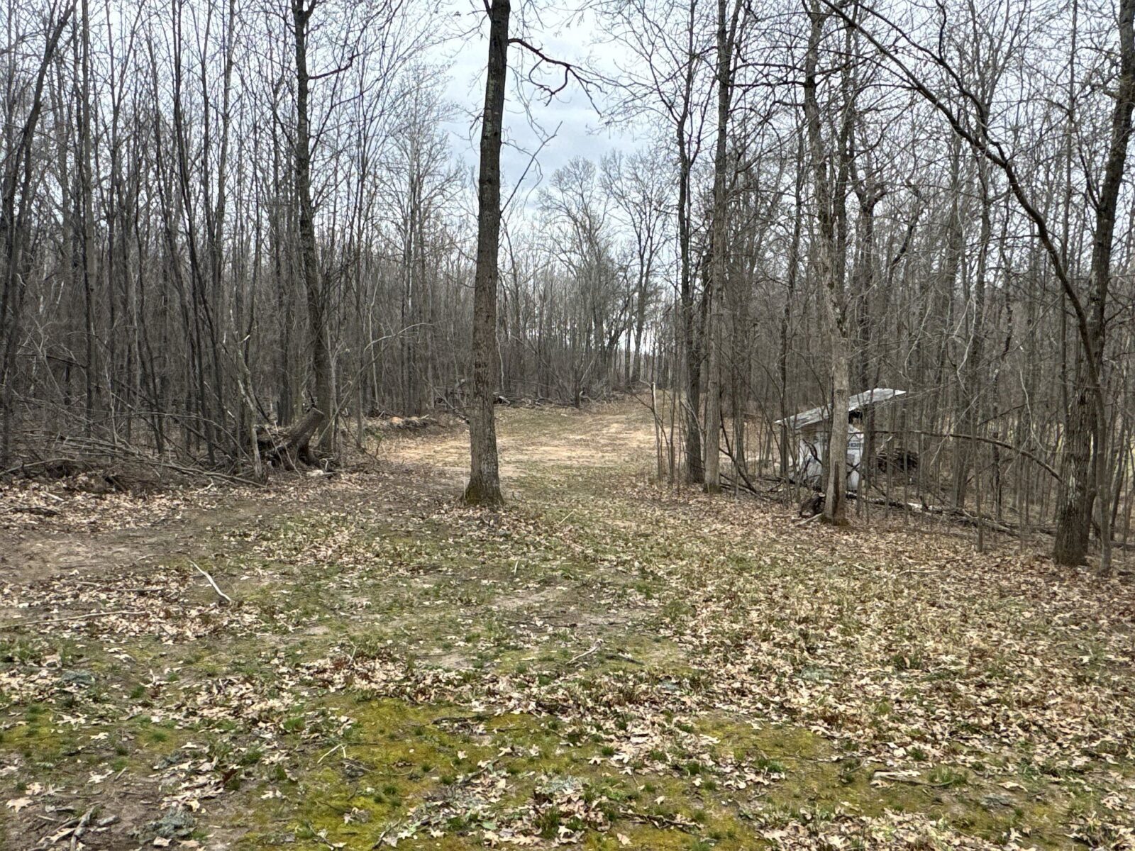 Land at TBD Barrett Trail, Trego, WI 54888 — photo 12