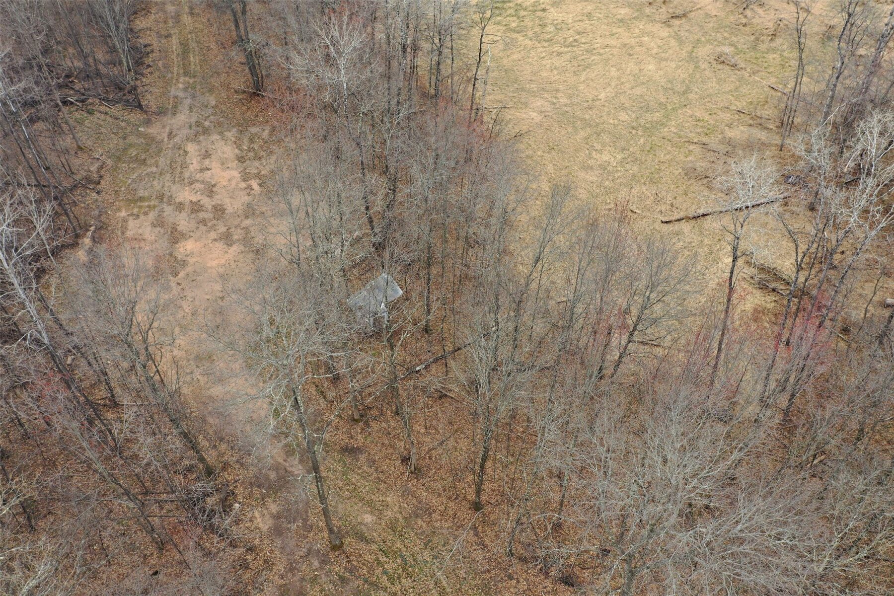 Land at TBD Barrett Trail, Trego, WI 54888 — photo 18