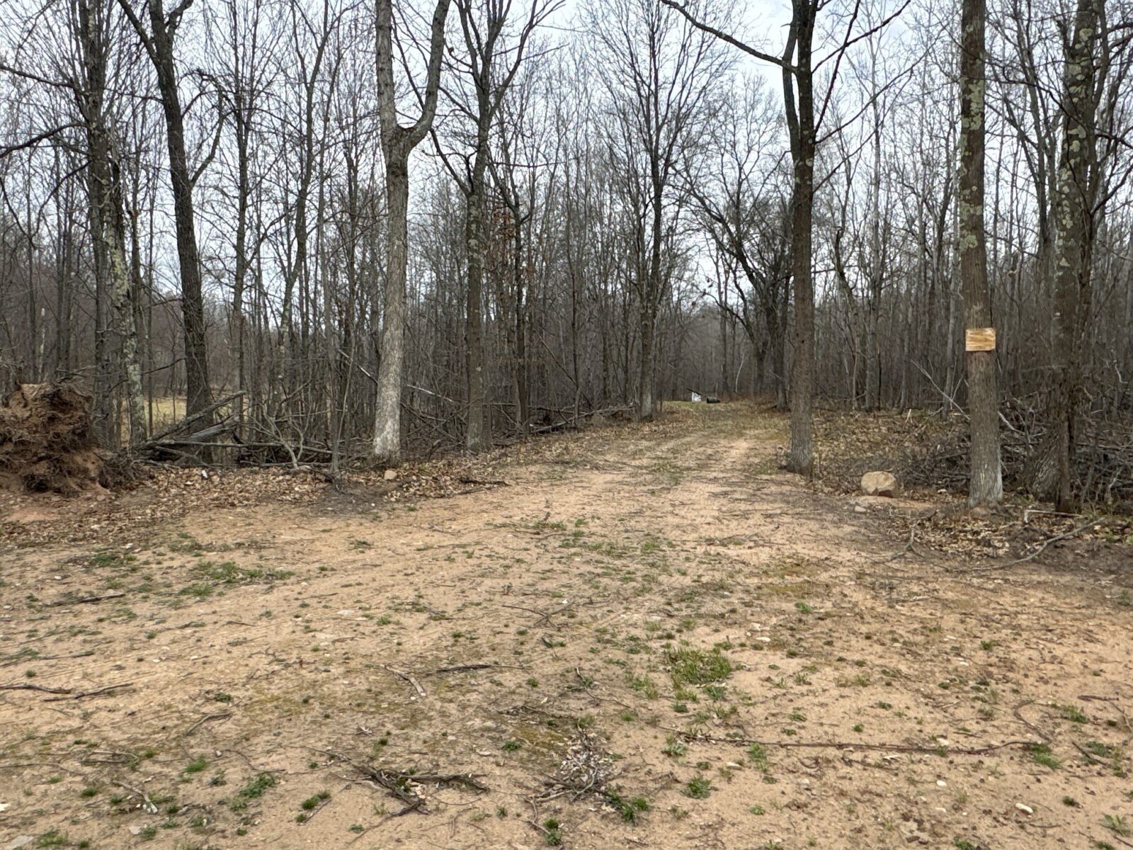 Land at TBD Barrett Trail, Trego, WI 54888 — photo 19