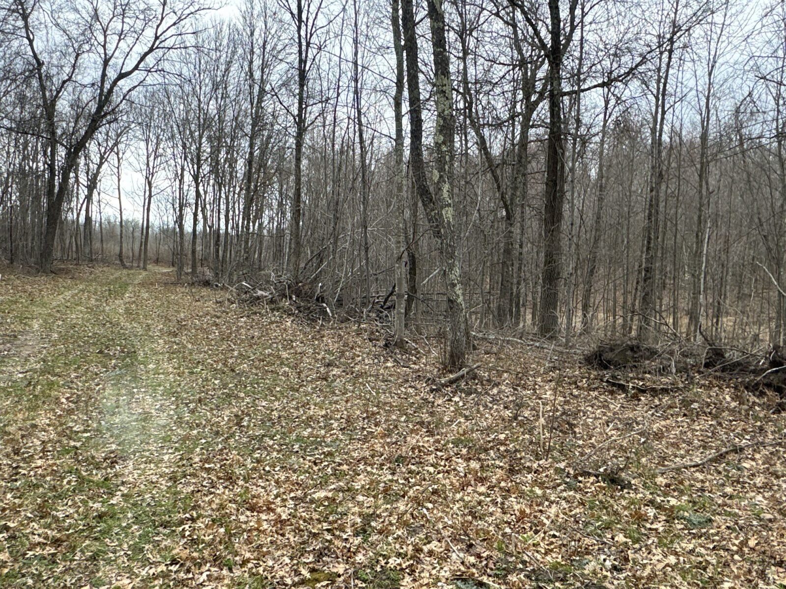 Land at TBD Barrett Trail, Trego, WI 54888 — photo 21