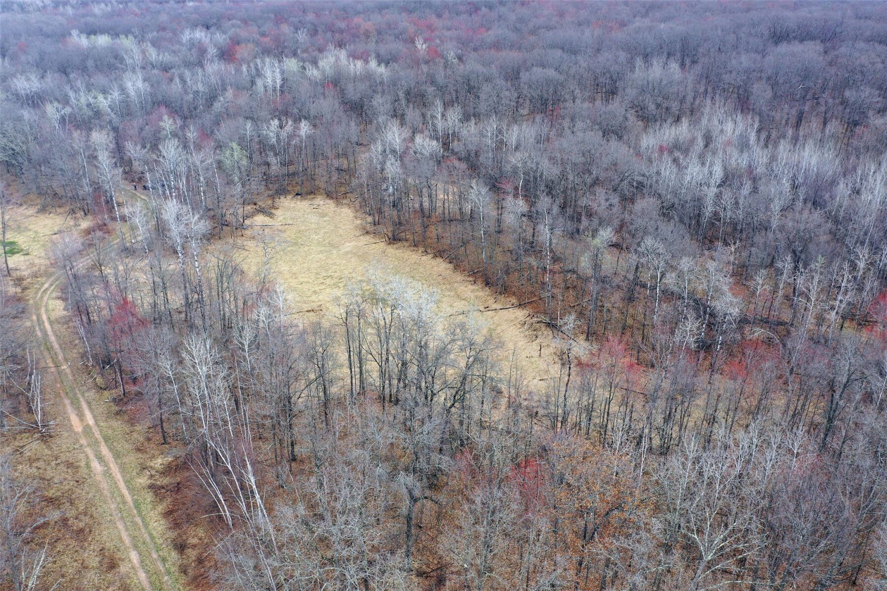 Land at TBD Barrett Trail, Trego, WI 54888 — photo 4