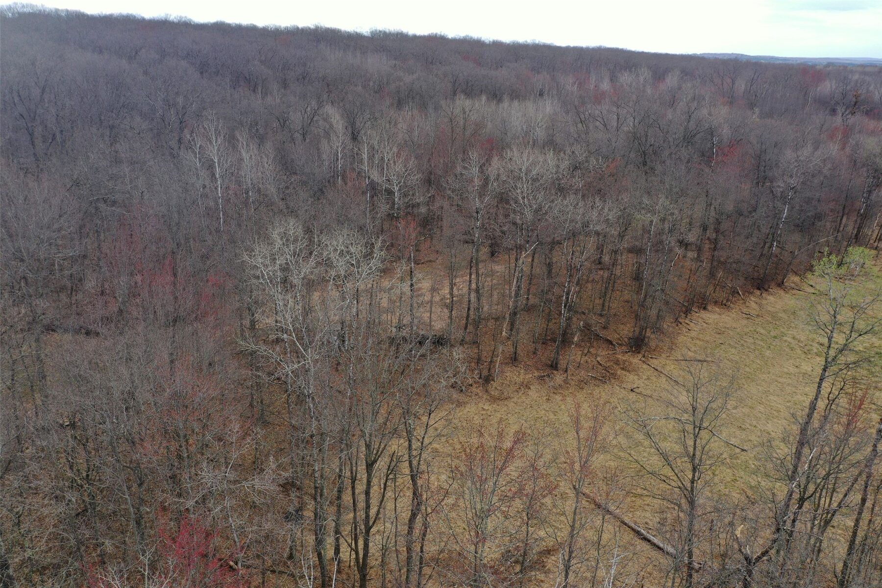 Land at TBD Barrett Trail, Trego, WI 54888 — photo 6