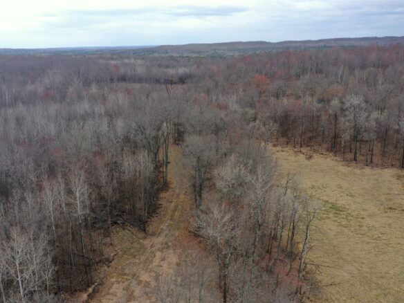Land at TBD Barrett Trail, Trego, WI 54888 — photo 1