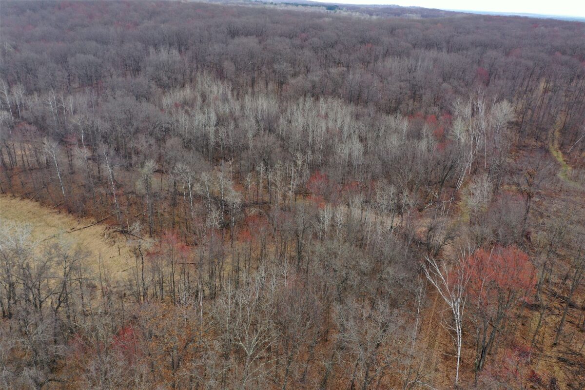 Land at TBD Barrett Trail, Trego, WI 54888 — photo 8