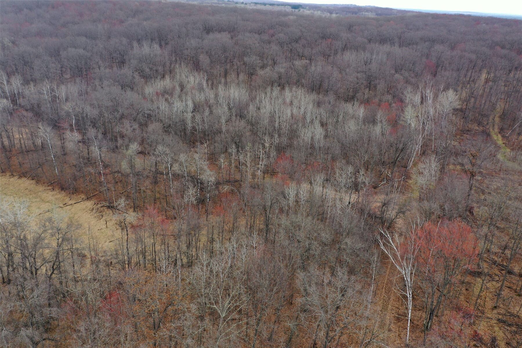 Land at TBD Barrett Trail, Trego, WI 54888 — photo 8