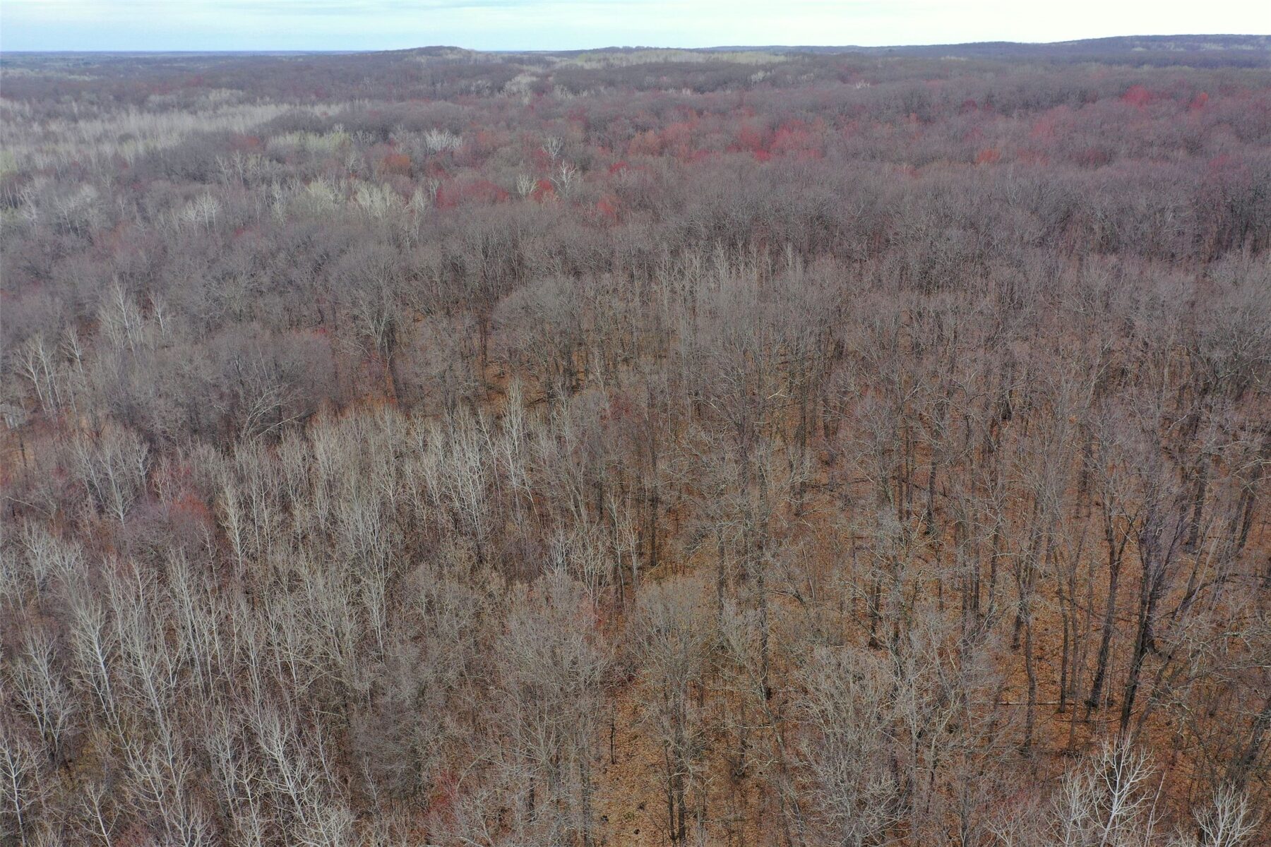 Land at TBD Barrett Trail, Trego, WI 54888 — photo 10