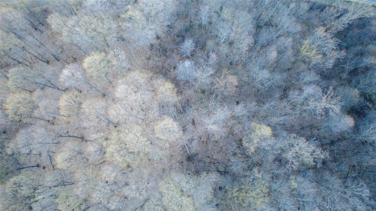 Land at TBD County Road K, Menomonie, WI 54751 — photo 13