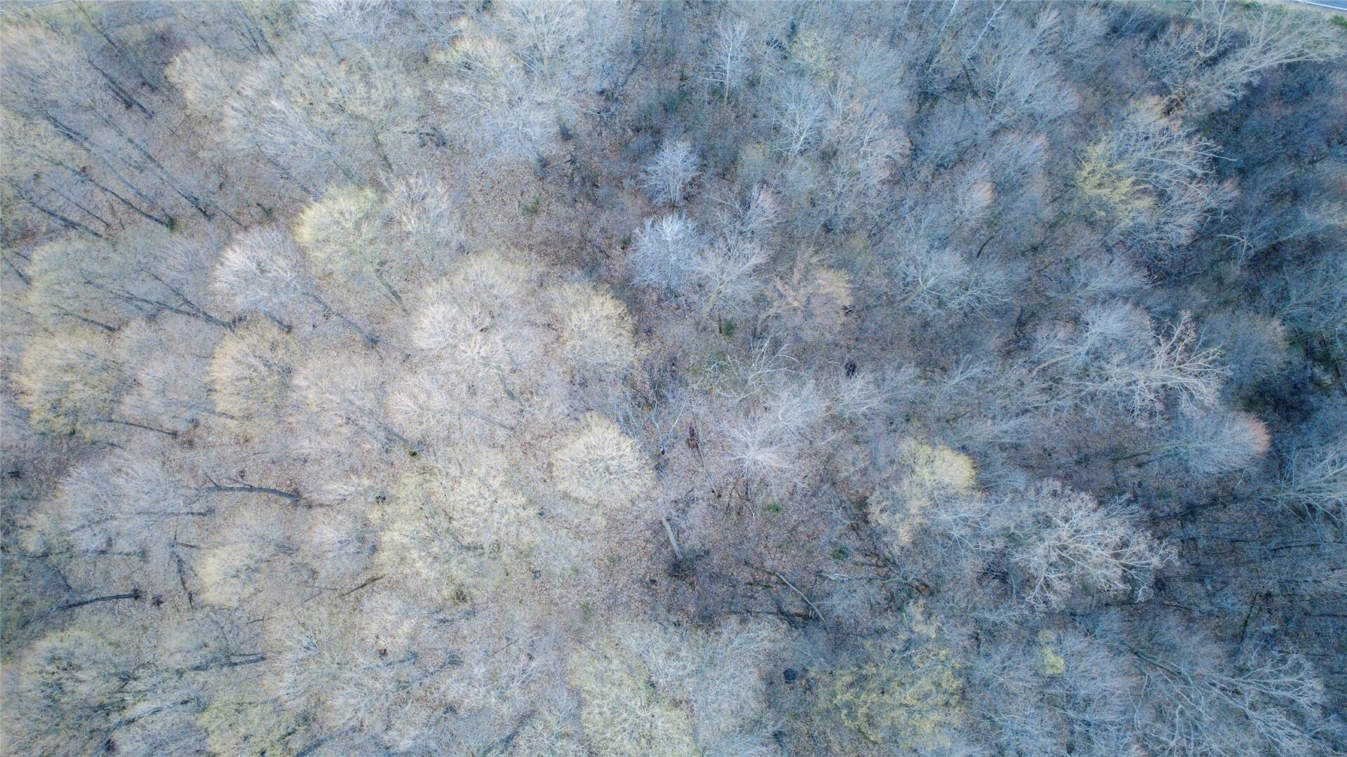 Land at TBD County Road K, Menomonie, WI 54751 — photo 13