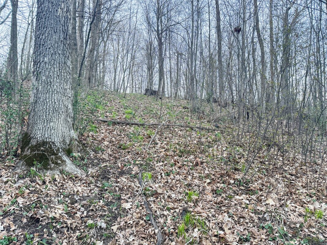 Land at TBD County Road K, Menomonie, WI 54751 — photo 22