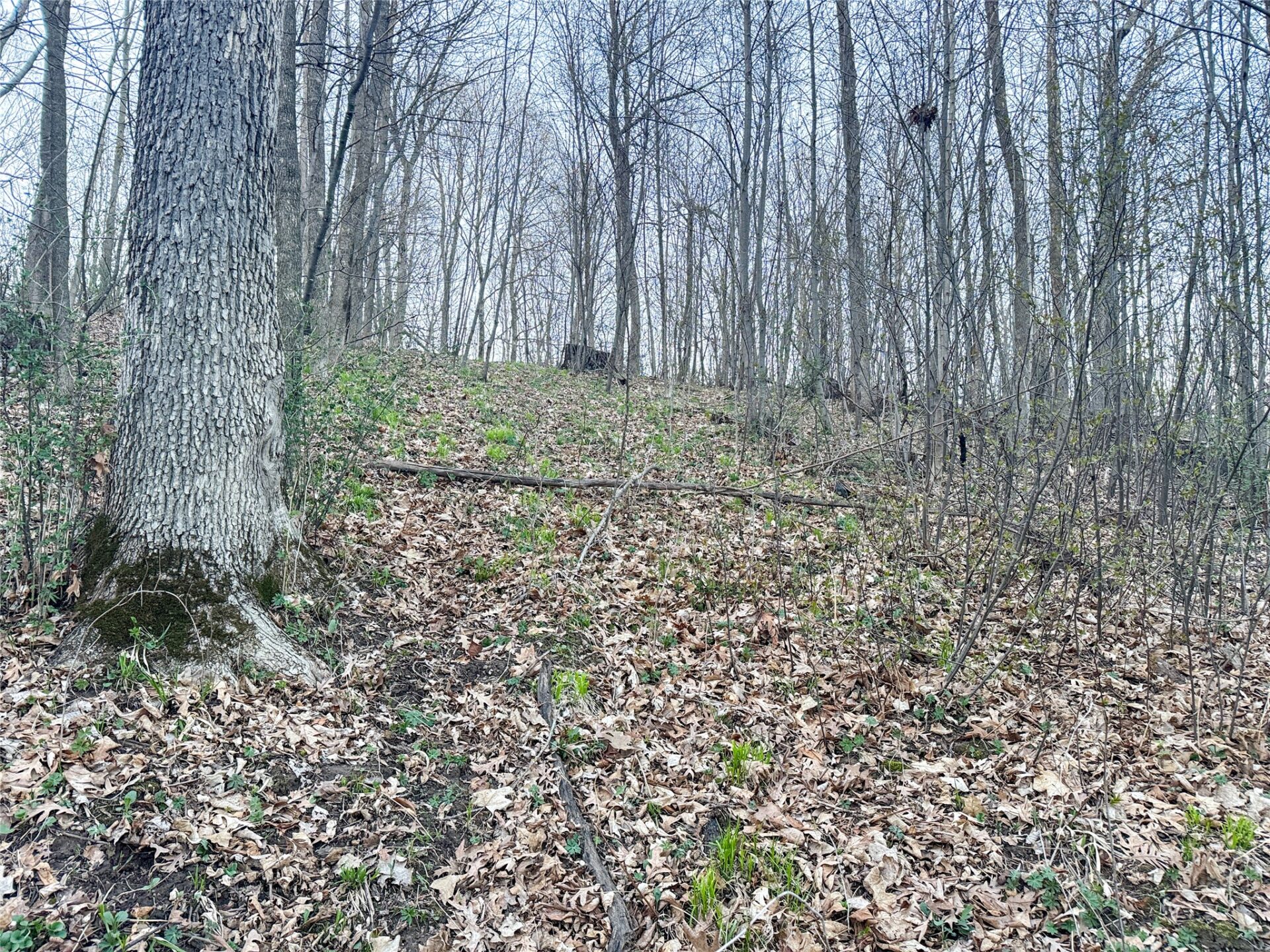 Land at TBD County Road K, Menomonie, WI 54751 — photo 22