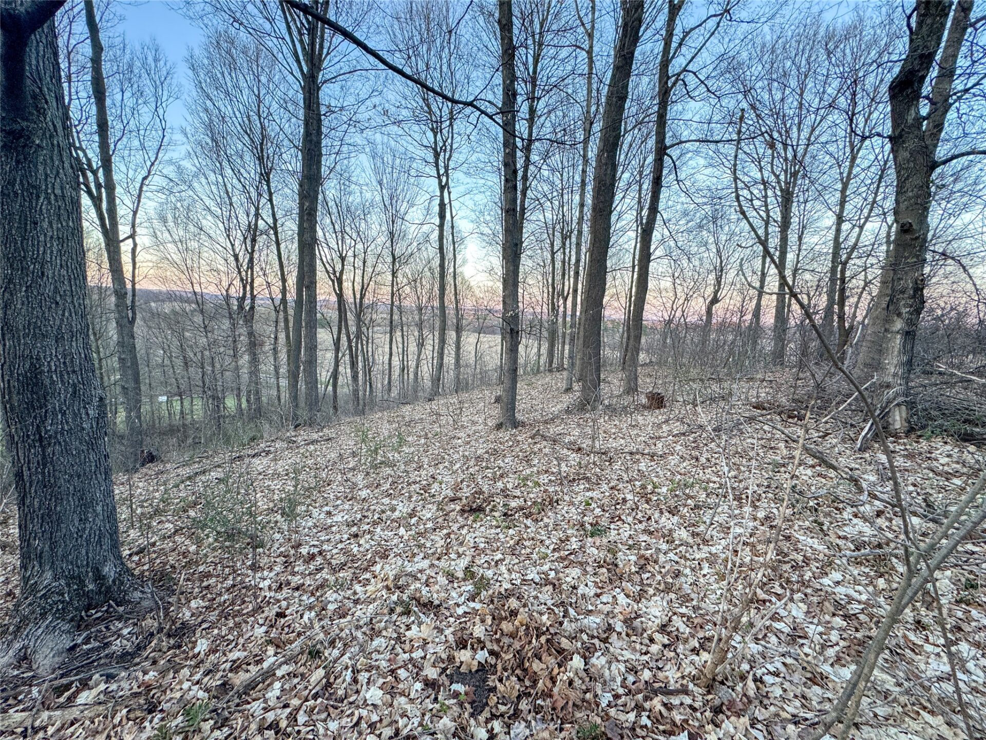 Land at TBD County Road K, Menomonie, WI 54751 — photo 23