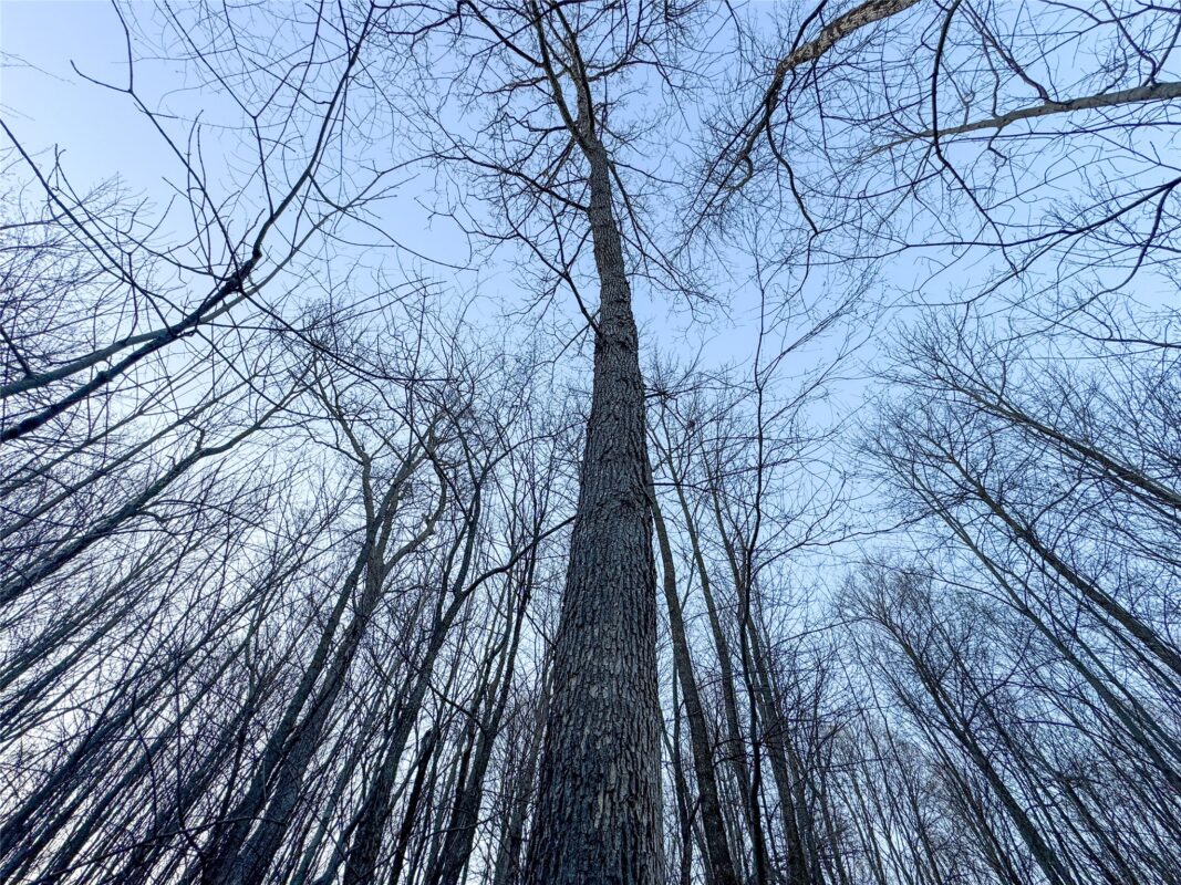 Land at TBD County Road K, Menomonie, WI 54751 — photo 24