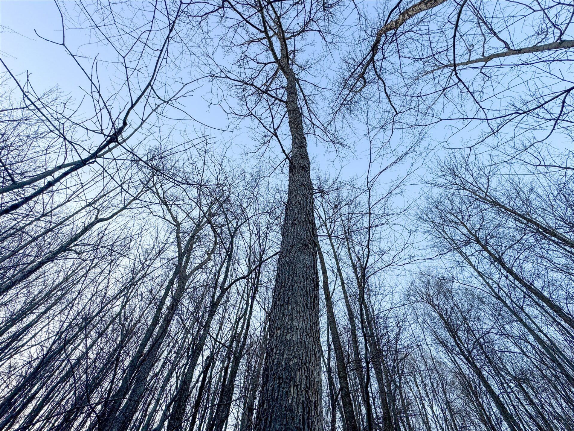 Land at TBD County Road K, Menomonie, WI 54751 — photo 24