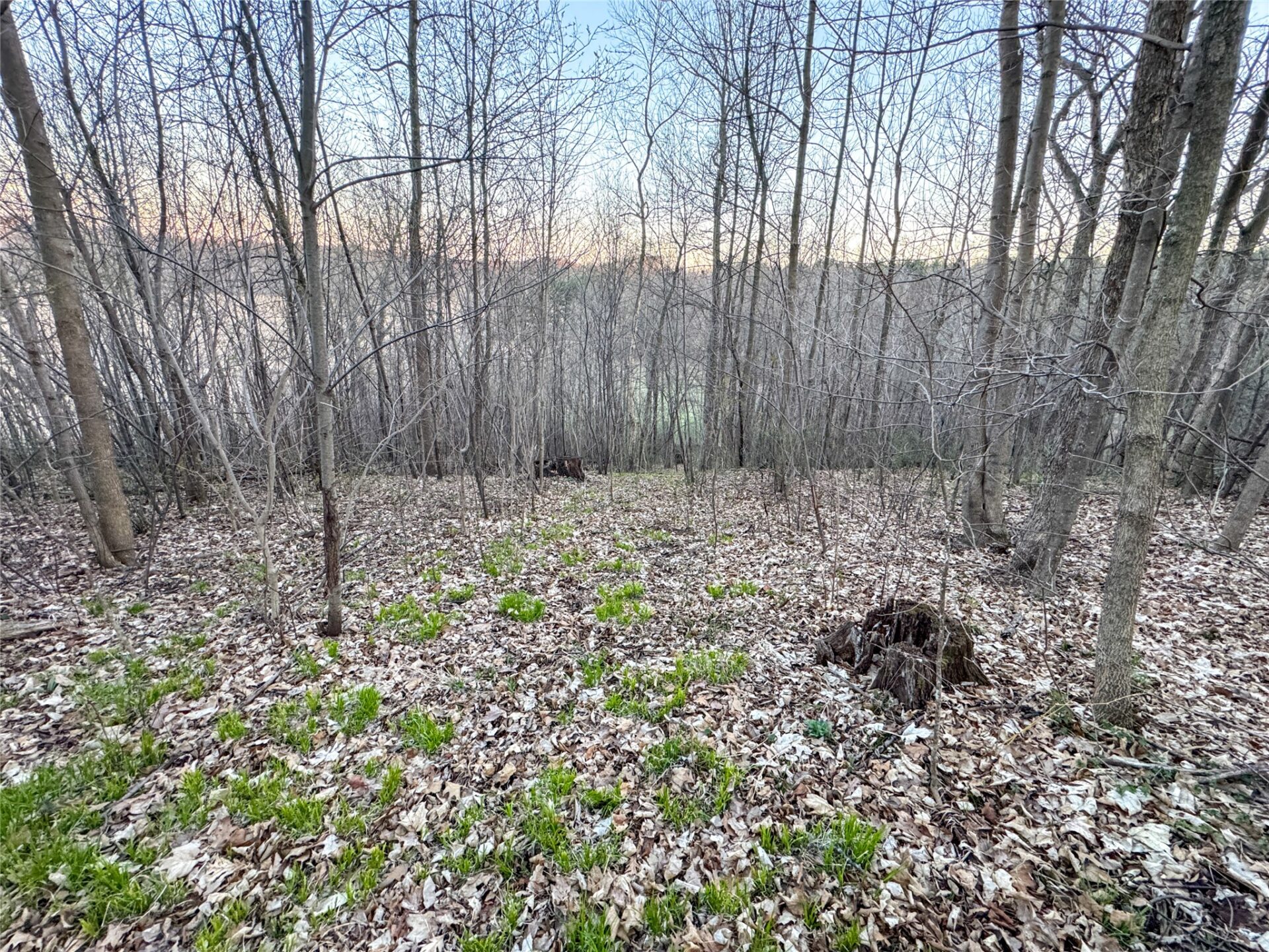 Land at TBD County Road K, Menomonie, WI 54751 — photo 25