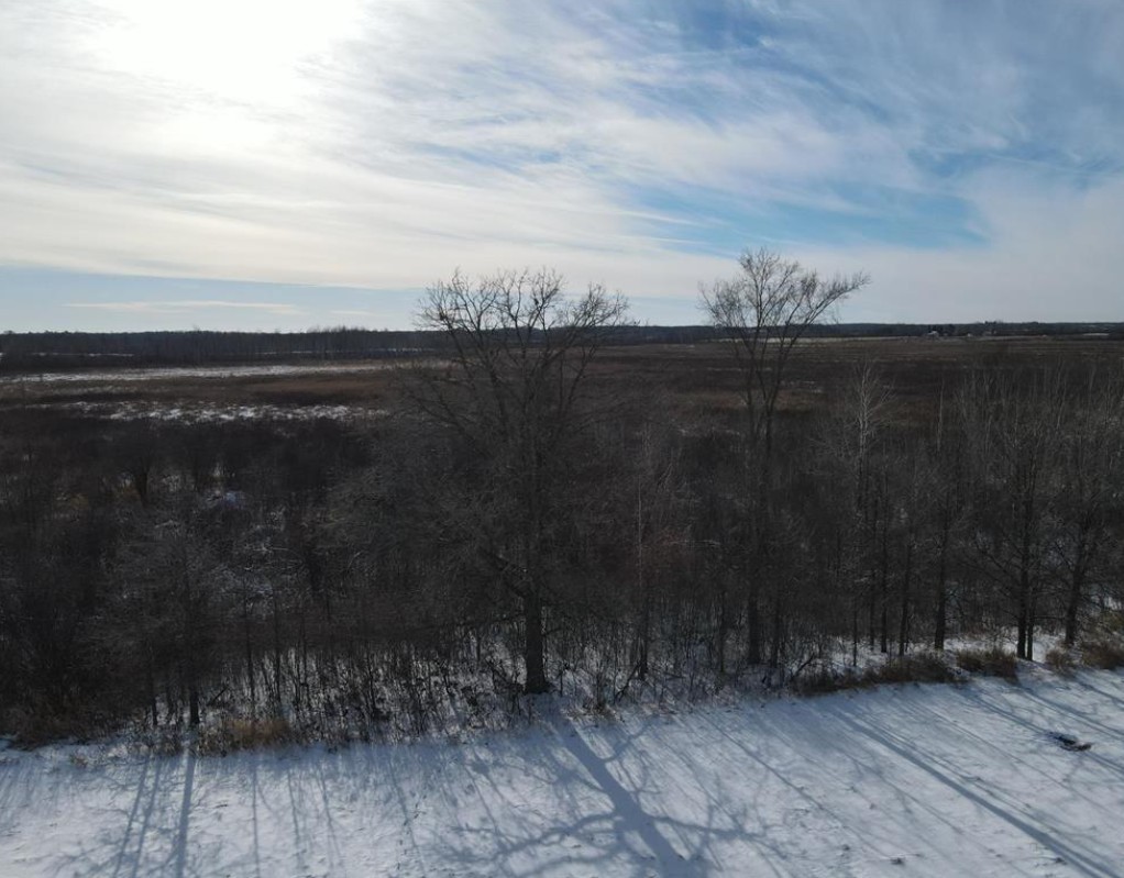 Land at TBD Homestead Road, Conrath, WI 54731 — photo 2