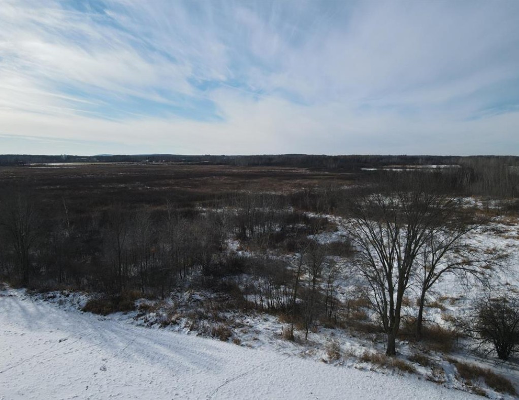 Land at TBD Homestead Road, Conrath, WI 54731 — photo 4