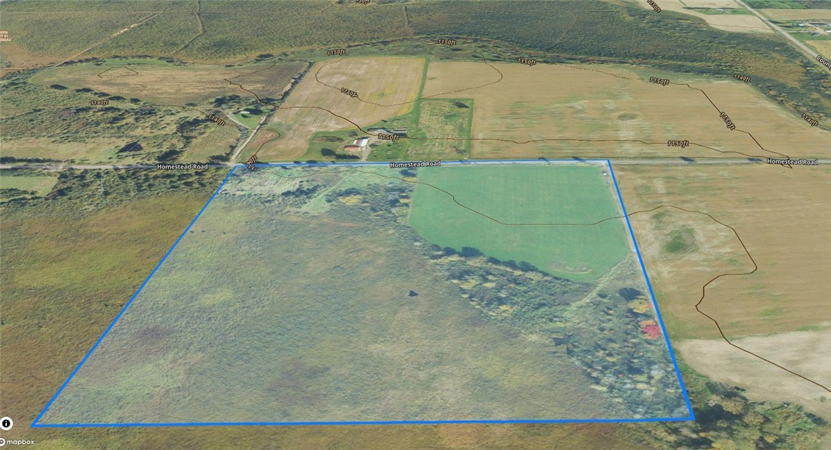 Land at TBD Homestead Road, Conrath, WI 54731 — photo 7