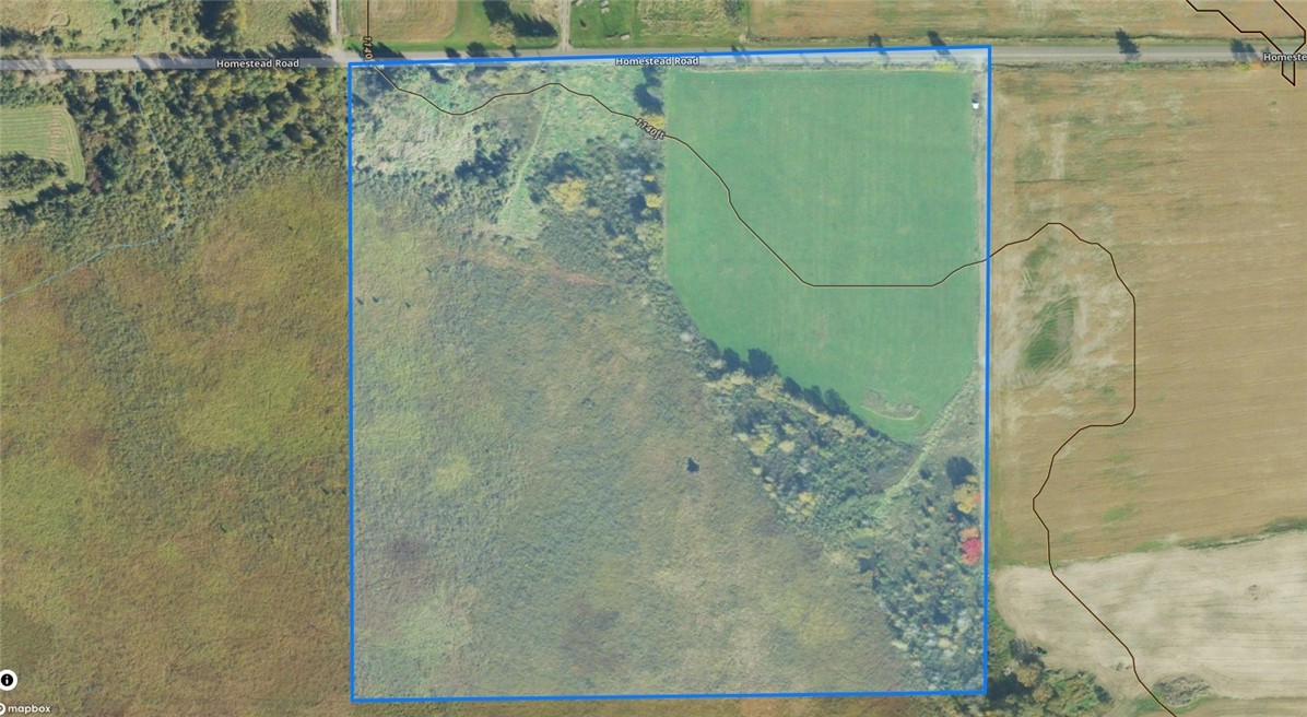 Land at TBD Homestead Road, Conrath, WI 54731 — photo 8