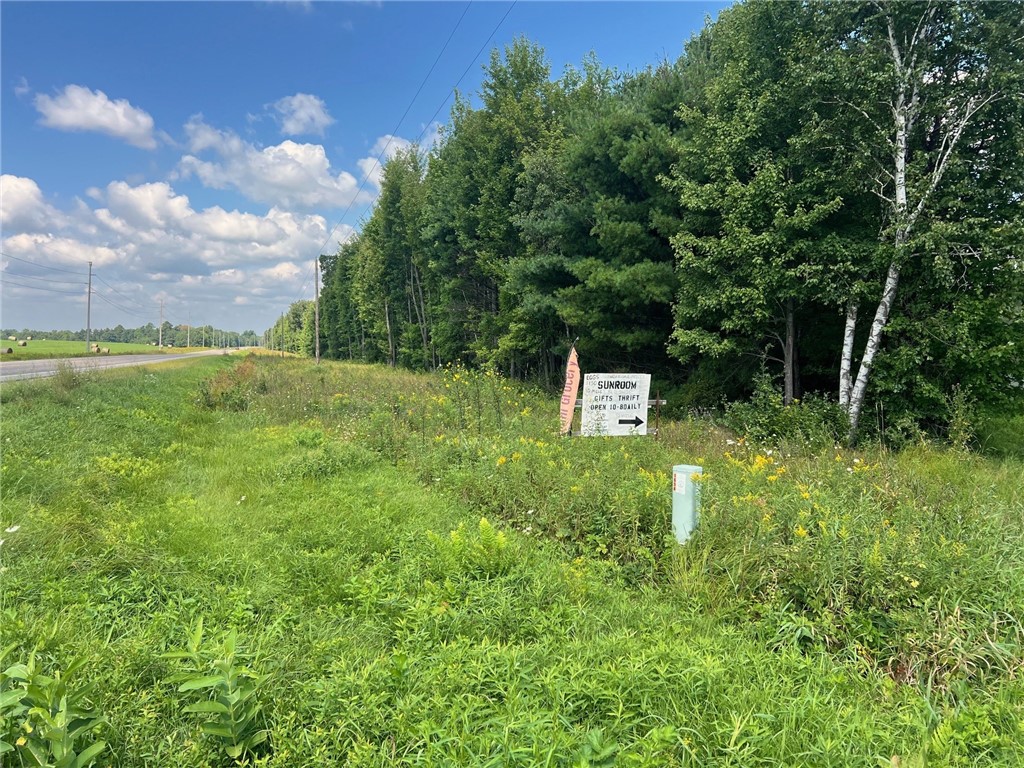 Land at TBD North Center Road, Fairchild, WI 54741 — photo 11