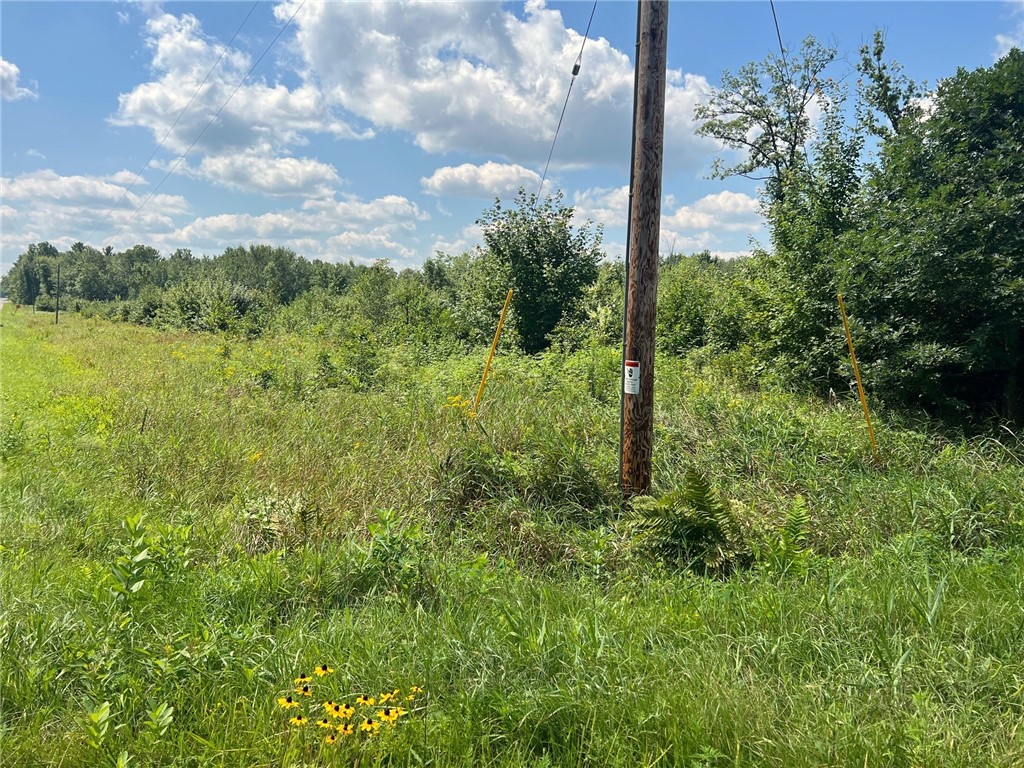 Land at TBD North Center Road, Fairchild, WI 54741 — photo 16