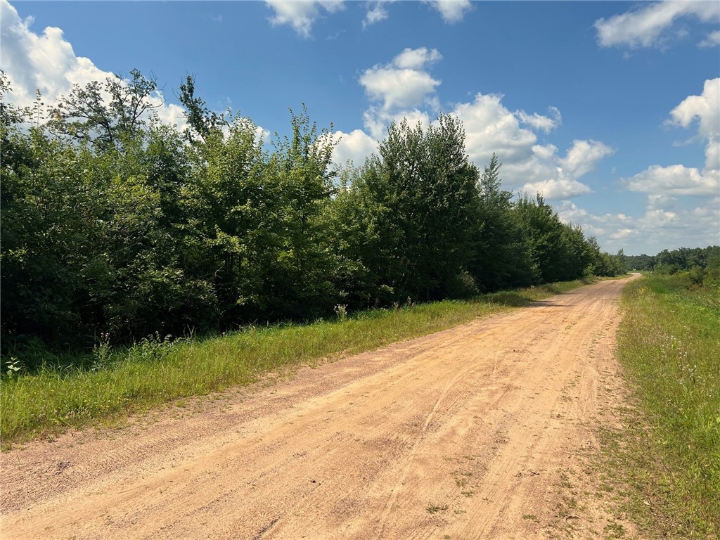 Land at TBD North Center Road, Fairchild, WI 54741 — photo 18