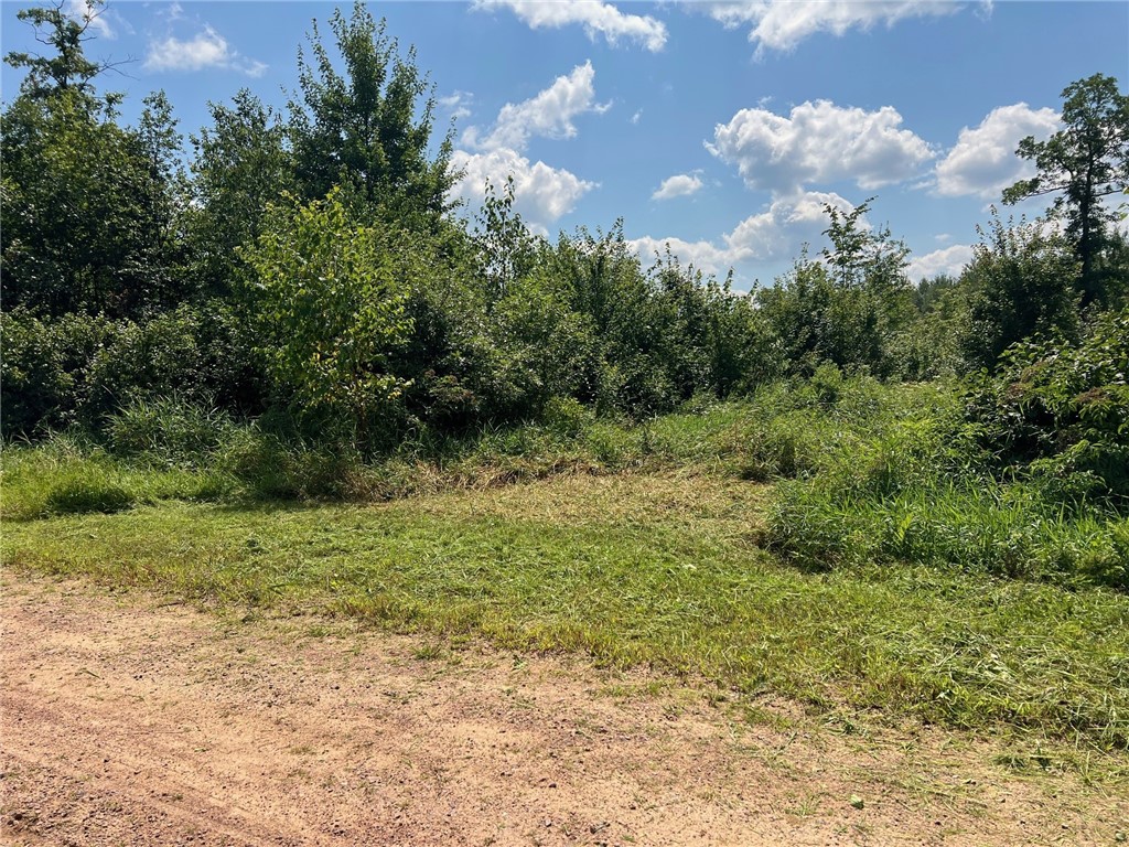Land at TBD North Center Road, Fairchild, WI 54741 — photo 20