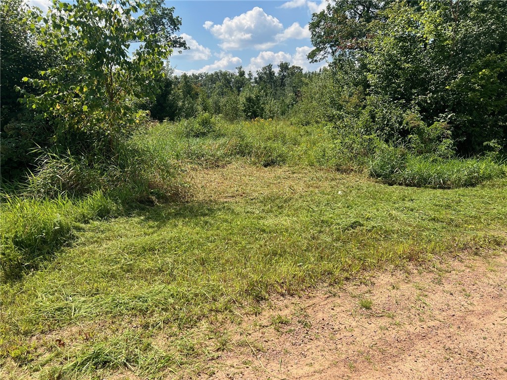 Land at TBD North Center Road, Fairchild, WI 54741 — photo 22
