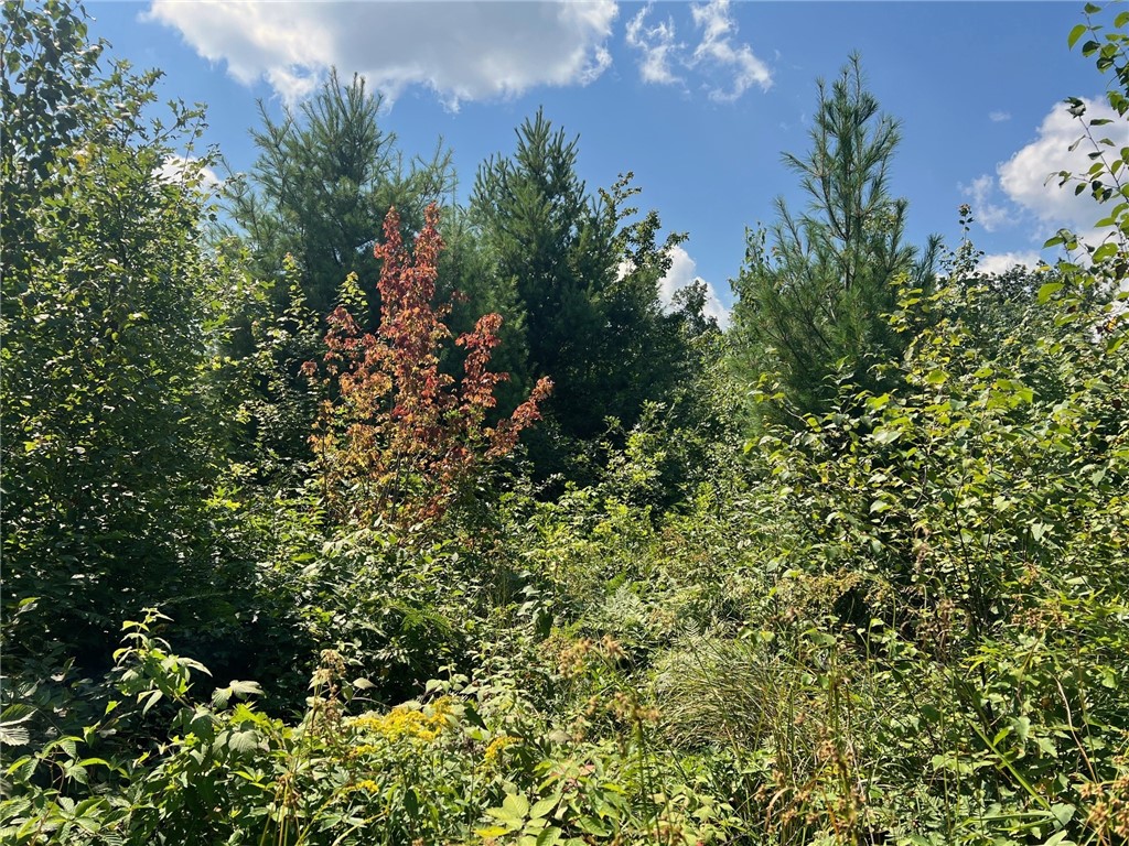 Land at TBD North Center Road, Fairchild, WI 54741 — photo 27