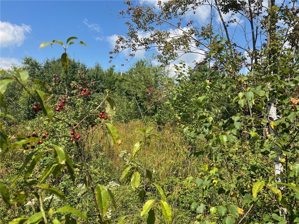 Land at TBD North Center Road, Fairchild, WI 54741 — photo 29
