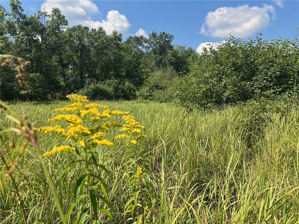 Land at TBD North Center Road, Fairchild, WI 54741 — photo 31