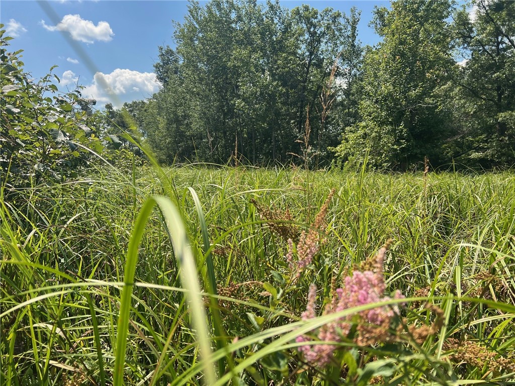 Land at TBD North Center Road, Fairchild, WI 54741 — photo 33