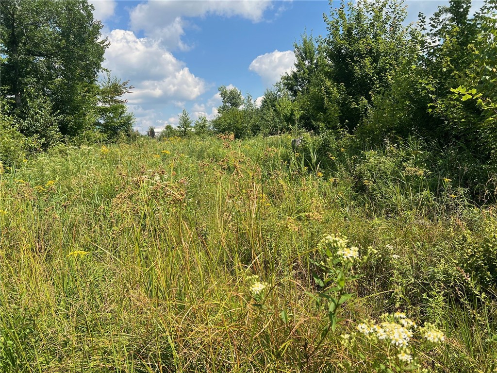 Land at TBD North Center Road, Fairchild, WI 54741 — photo 34