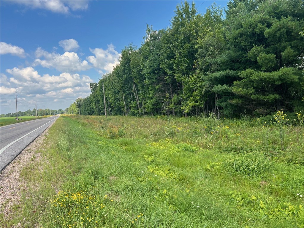 Land at TBD North Center Road, Fairchild, WI 54741 — photo 9