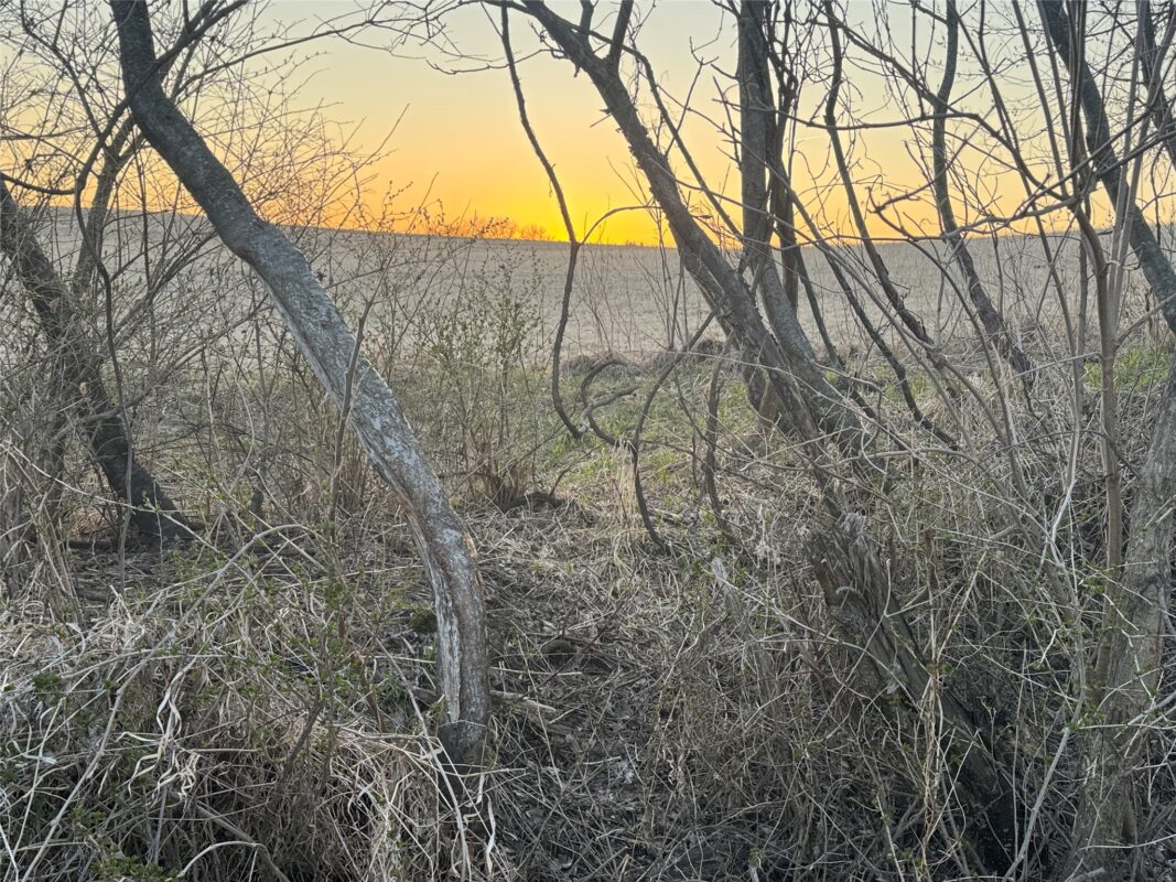 Land at TBD Riesgraf Lane, Stockholm, WI 54769 — photo 14