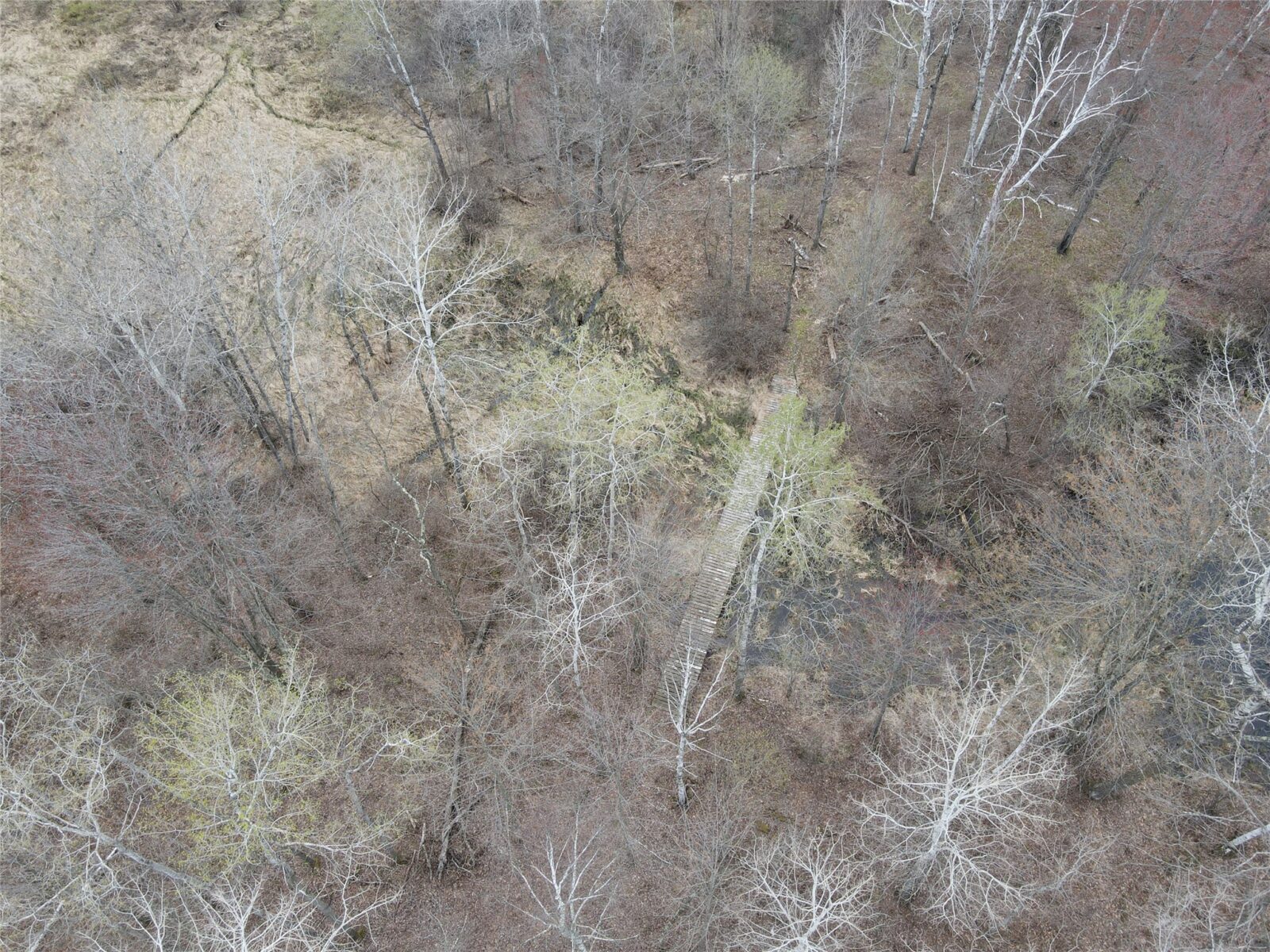 Land at TBD Silo Road, Sarona, WI 54870 — photo 16