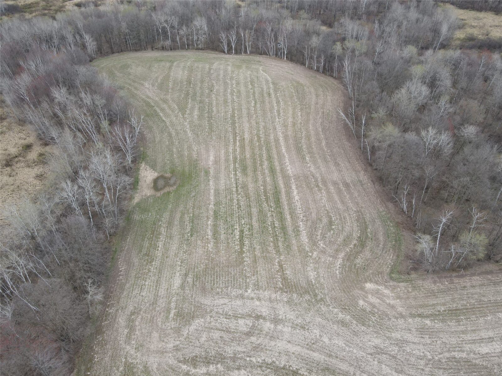 Land at TBD Silo Road, Sarona, WI 54870 — photo 17