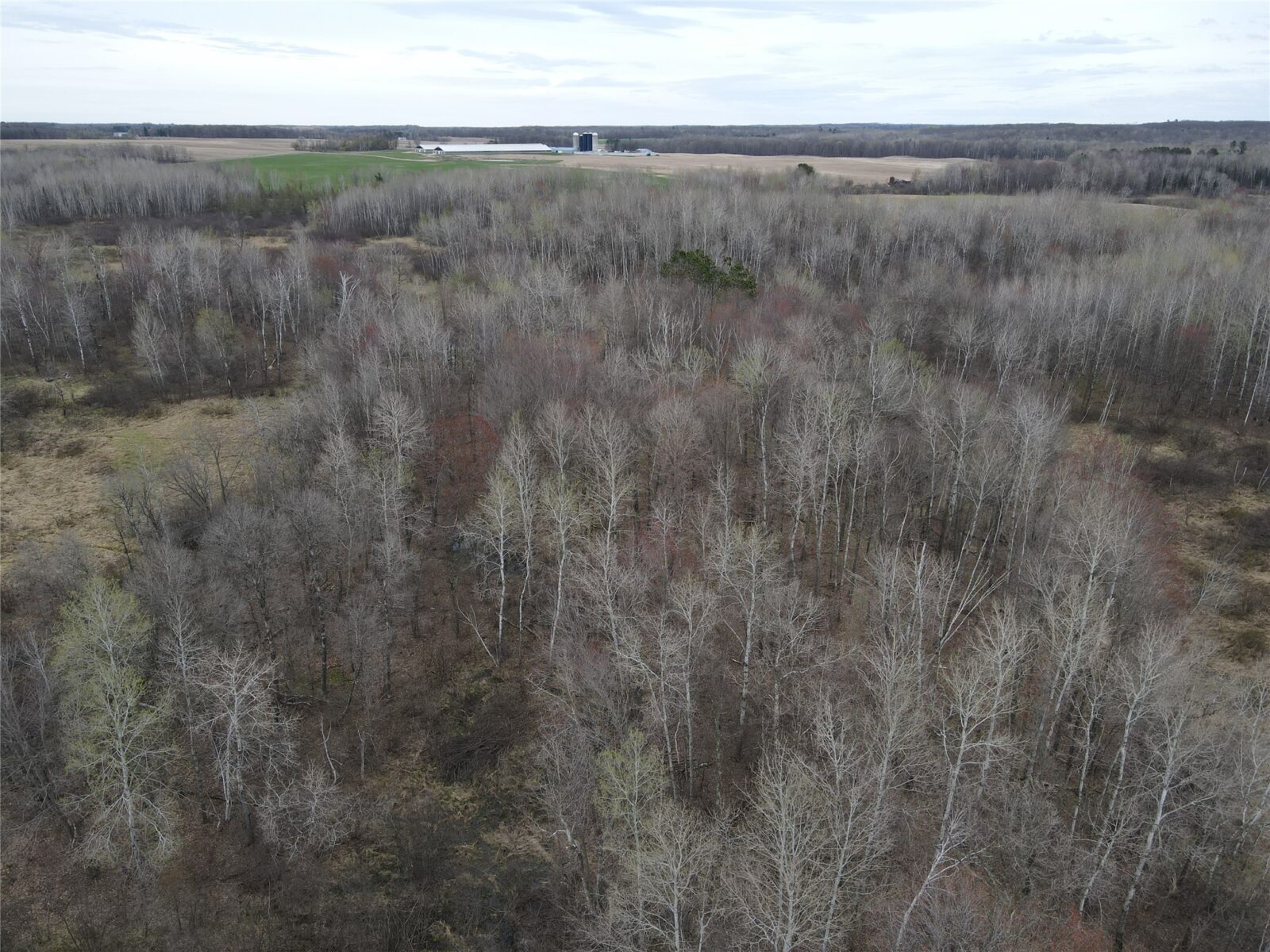 Land at TBD Silo Road, Sarona, WI 54870 — photo 18
