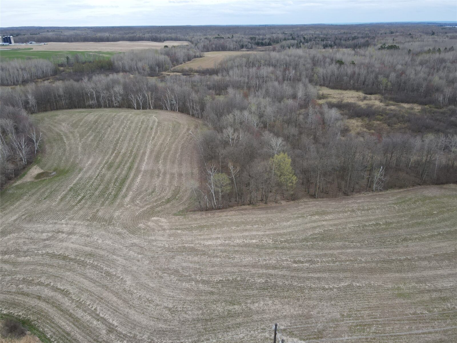 Land at TBD Silo Road, Sarona, WI 54870 — photo 4