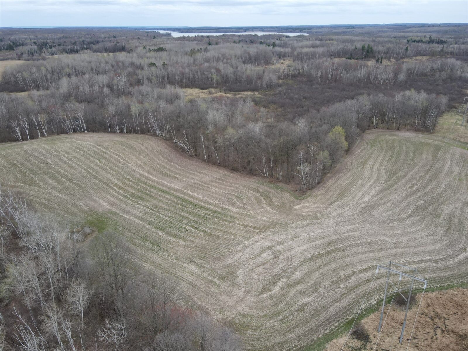 Land at TBD Silo Road, Sarona, WI 54870 — photo 9