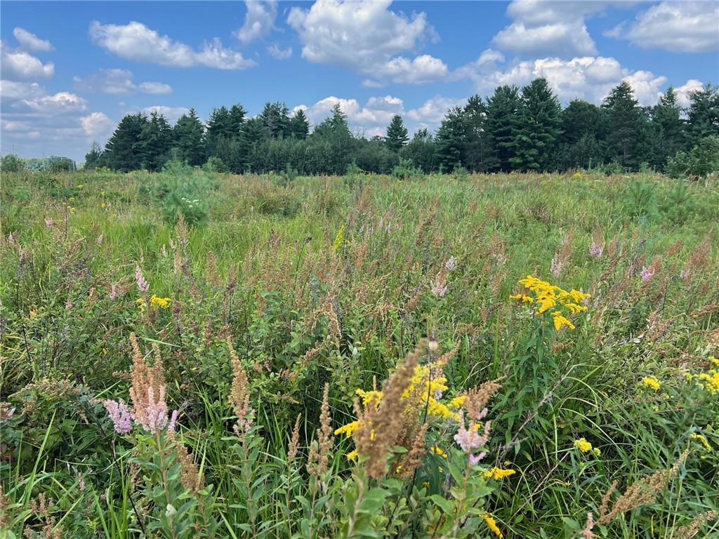 Land at TBD State Highway 12/27, Fairchild, WI 54741 — photo 2