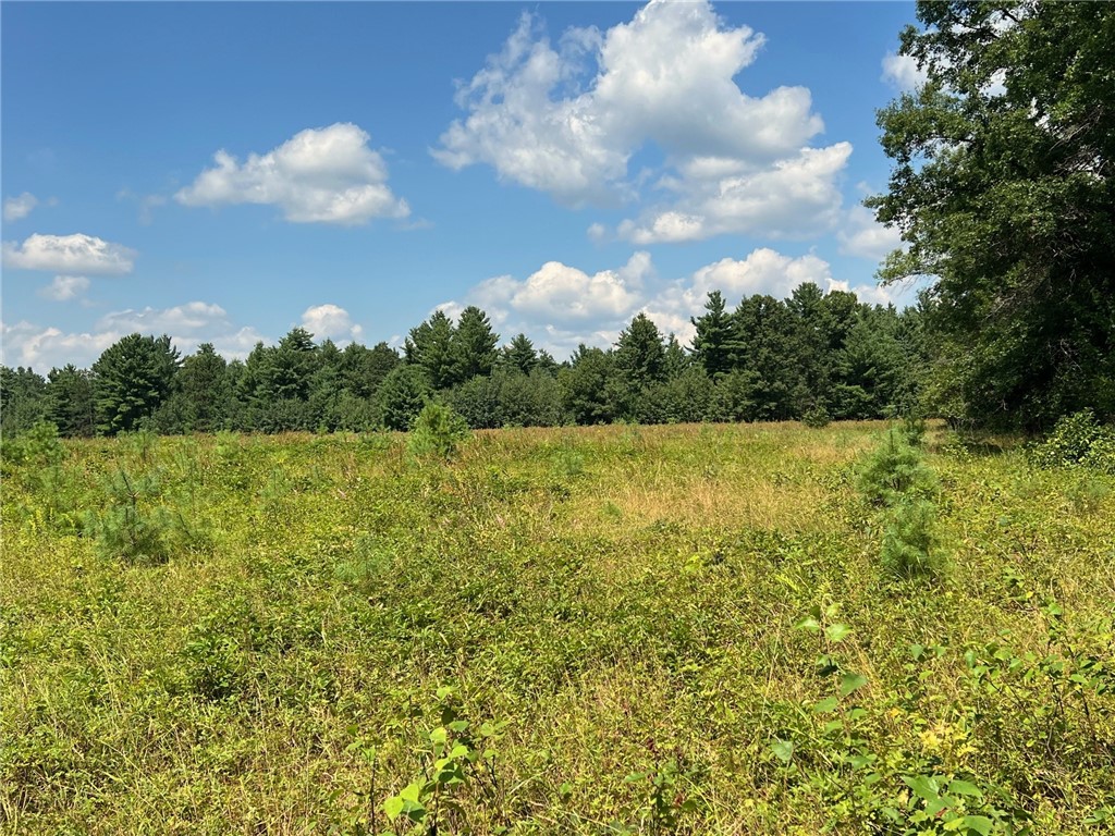 Land at TBD State Highway 12/27, Fairchild, WI 54741 — photo 12