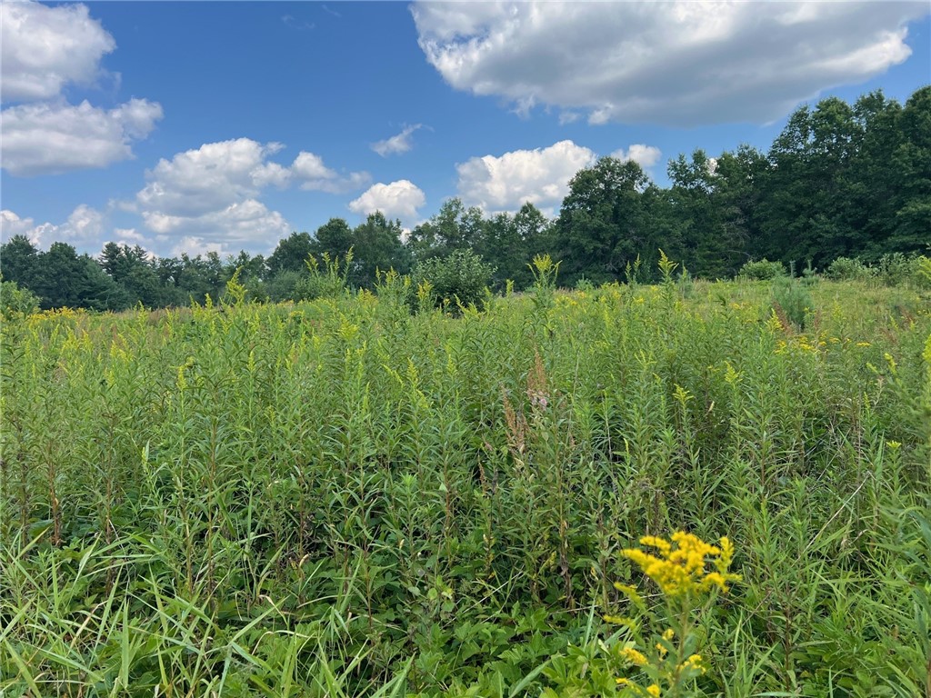Land at TBD State Highway 12/27, Fairchild, WI 54741 — photo 13