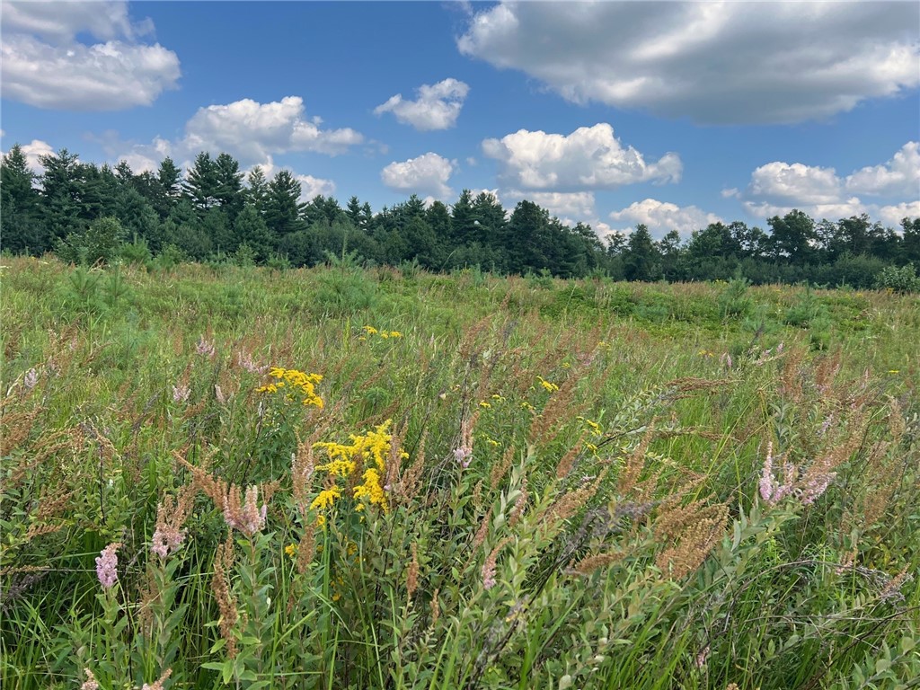 Land at TBD State Highway 12/27, Fairchild, WI 54741 — photo 15