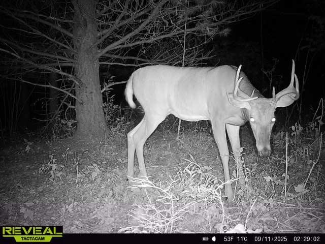 Land at TBD State Highway 12/27, Fairchild, WI 54741 — photo 17