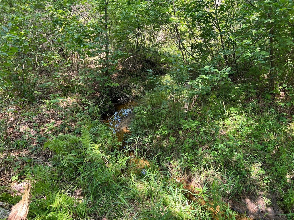 Land at TBD State Highway 12/27, Fairchild, WI 54741 — photo 18