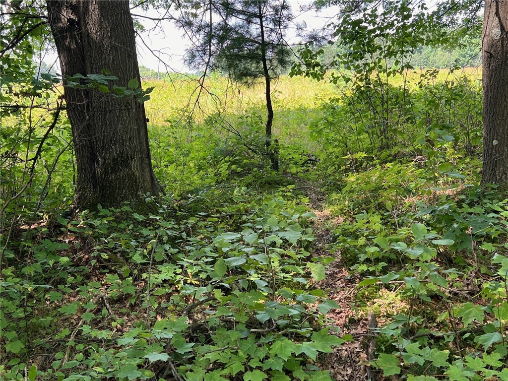 Land at TBD State Highway 12/27, Fairchild, WI 54741 — photo 19